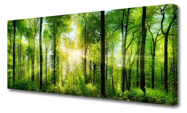 Tablou pe panza canvas Pădurea Verde Natura Maro