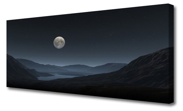 Tablou pe panza canvas Noapte Moon Peisaj Gri Negru