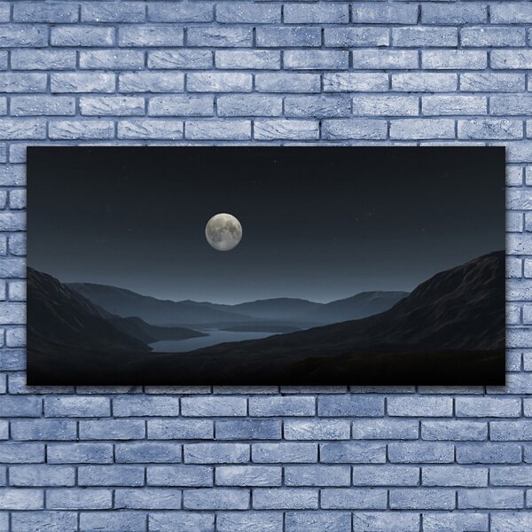 Tablou pe sticla Noapte Moon Peisaj Gri Negru
