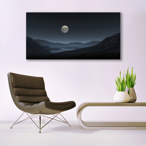 Tablou pe sticla Noapte Moon Peisaj Gri Negru