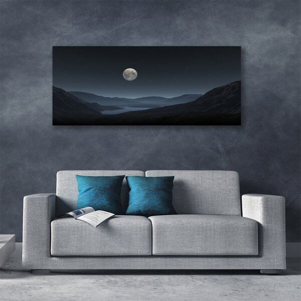 Tablou pe panza canvas Noapte Moon Peisaj Gri Negru