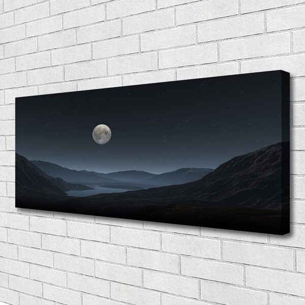 Tablou pe panza canvas Noapte Moon Peisaj Gri Negru