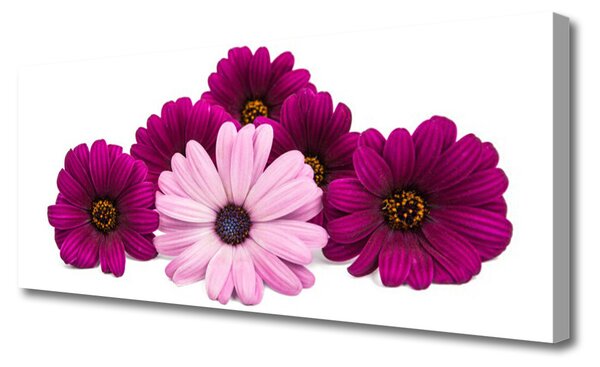 Tablou pe panza canvas Flori Floral Roșu Roz