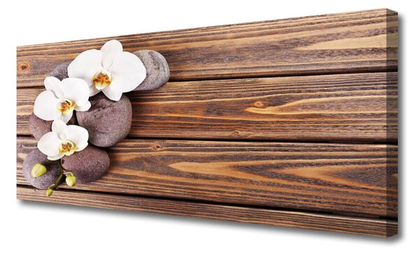 Tablou pe panza canvas Pietrele florale flori Alb Brun