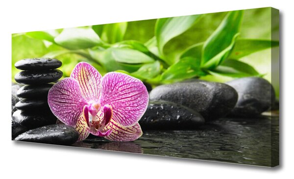 Tablou pe panza canvas Pietrele florale flori Roșu Negru