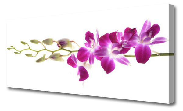 Tablou pe panza canvas Flori Floral Roșu