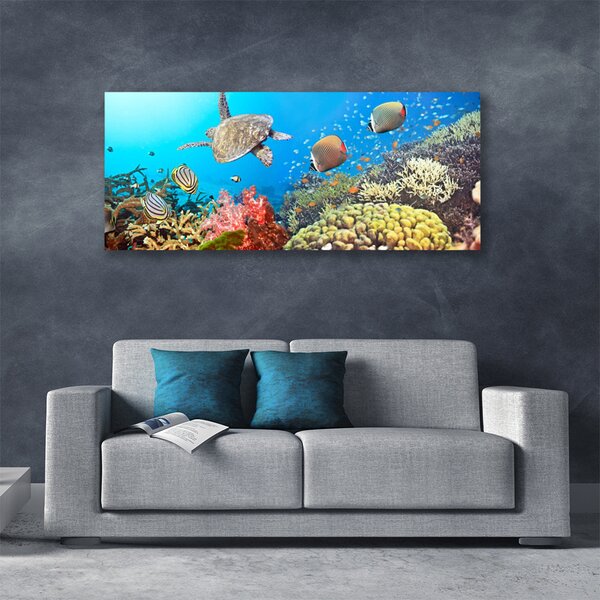 Tablou pe panza canvas Coral Reef Peisaj Multi