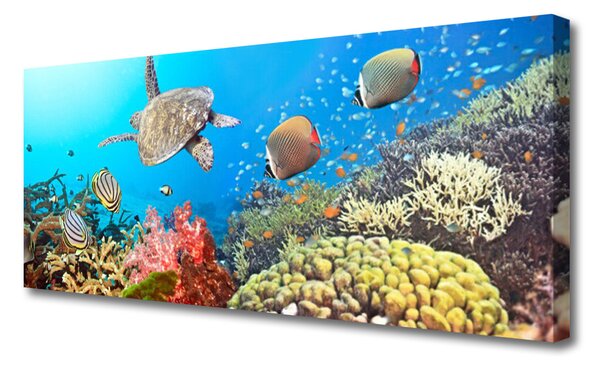 Tablou pe panza canvas Coral Reef Peisaj Multi