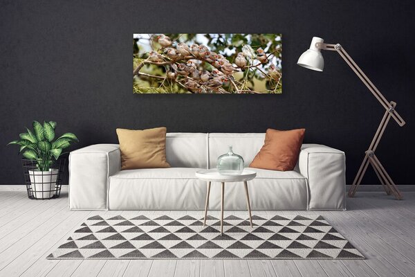 Tablou pe panza canvas Păsări Animale Maro Gri