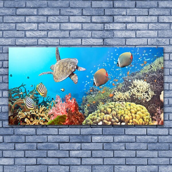 Tablou pe panza canvas Coral Reef Peisaj Multi