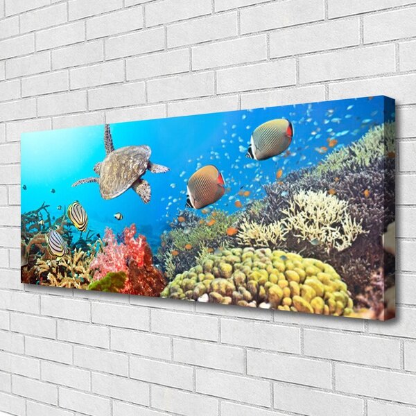Tablou pe panza canvas Coral Reef Peisaj Multi