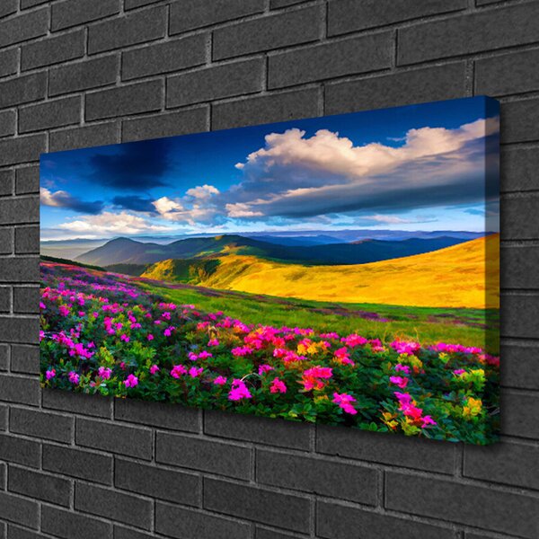 Tablou pe panza canvas Meadow Flori Natura Verde Albastru Roz Roșu