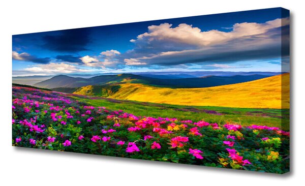 Tablou pe panza canvas Meadow Flori Natura Verde Albastru Roz Roșu