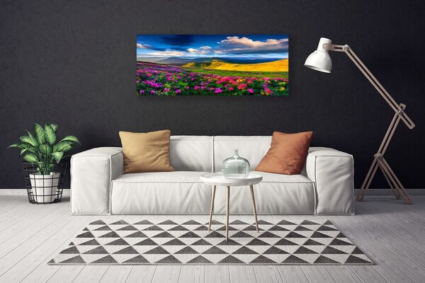 Tablou pe panza canvas Meadow Flori Natura Verde Albastru Roz Roșu