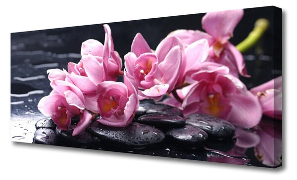 Tablou pe panza canvas Pietrele florale flori roz negru