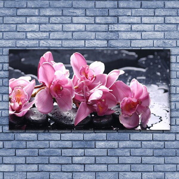 Tablou pe panza canvas Pietrele florale flori roz negru