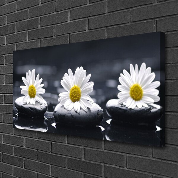 Tablou pe panza canvas Daisy pietre Floral Galben Alb Negru