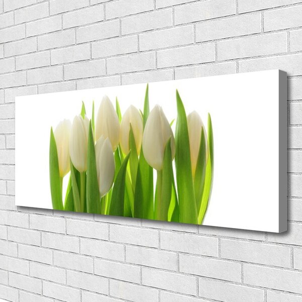 Tablou pe panza canvas Lalele Floral Alb Verde