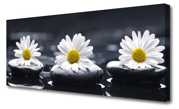 Tablou pe panza canvas Daisy pietre Floral Galben Alb Negru