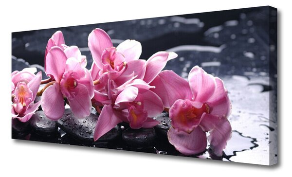 Tablou pe panza canvas Pietrele florale flori roz negru