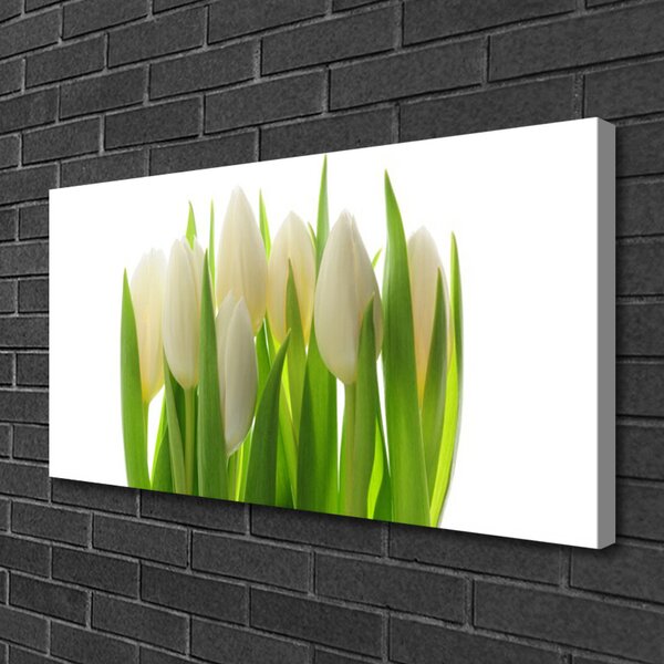 Tablou pe panza canvas Lalele Floral Alb Verde