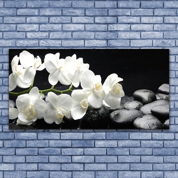 Tablou pe panza canvas Pietre florale flori alb negru