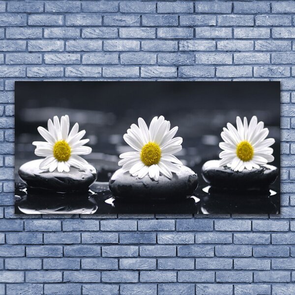Tablou pe panza canvas Daisy pietre Floral Galben Alb Negru