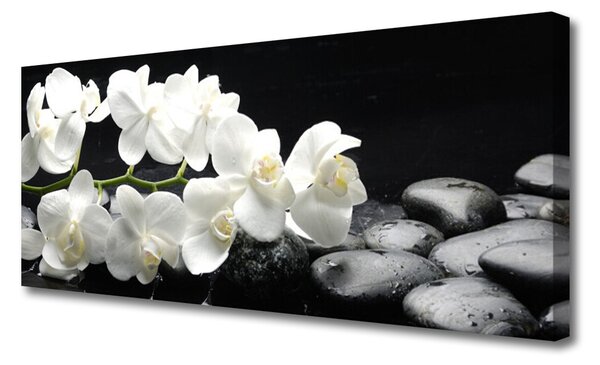 Tablou pe panza canvas Pietre florale flori alb negru
