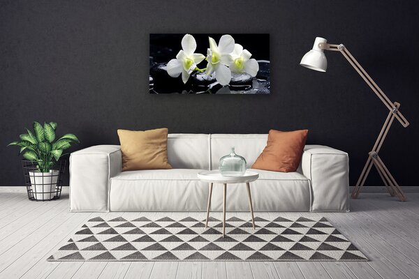 Tablou pe panza canvas Pietre florale flori alb negru