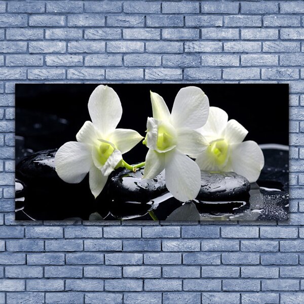 Tablou pe panza canvas Pietre florale flori alb negru