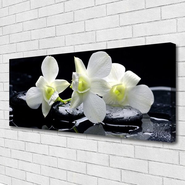 Tablou pe panza canvas Pietre florale flori alb negru