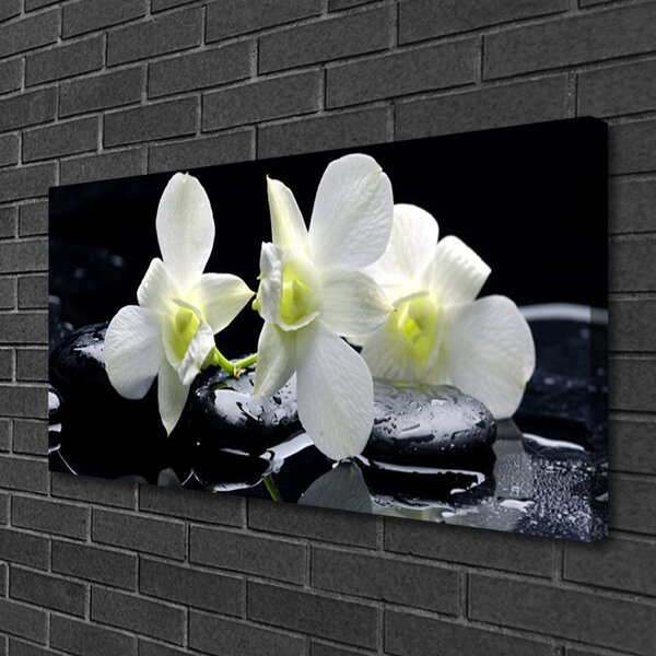 Tablou pe panza canvas Pietre florale flori alb negru