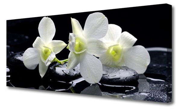Tablou pe panza canvas Pietre florale flori alb negru