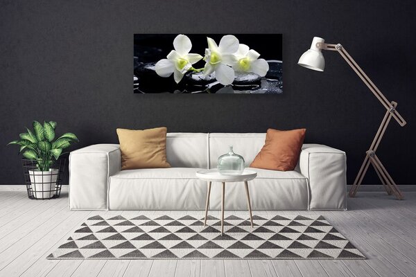 Tablou pe panza canvas Pietre florale flori alb negru