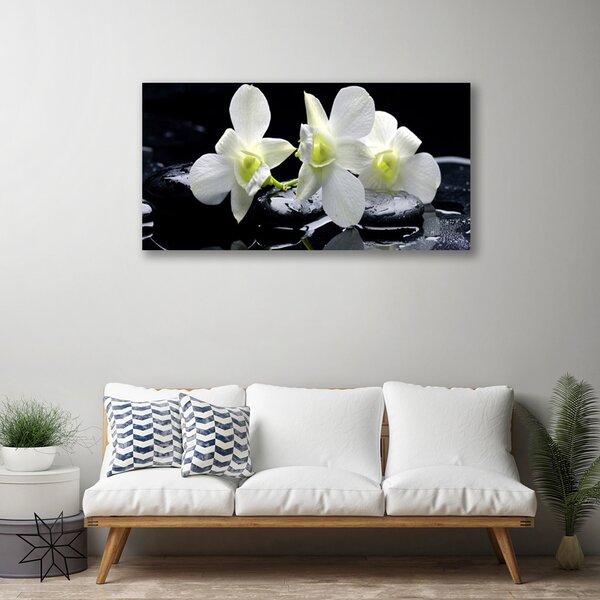 Tablou pe panza canvas Pietre florale flori alb negru