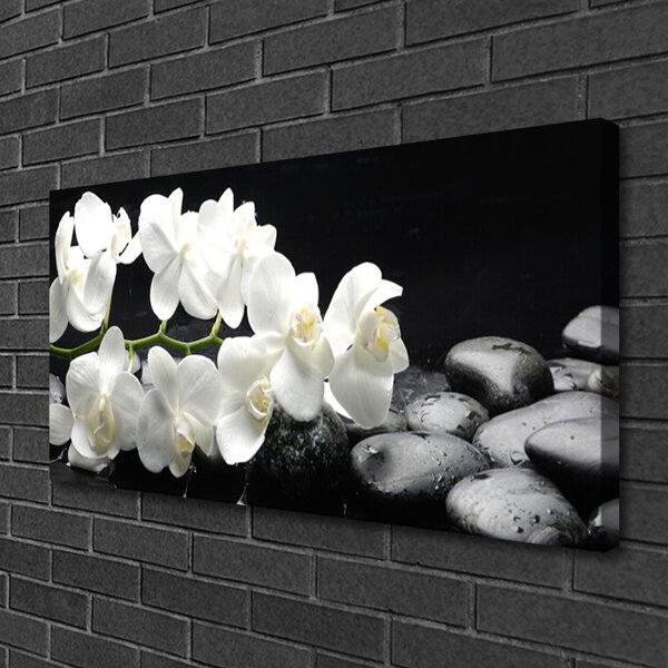 Tablou pe panza canvas Pietre florale flori alb negru
