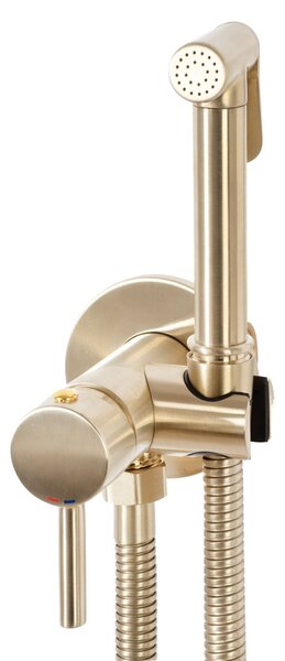 Baterie bideu Lungo Loop Gold Brush