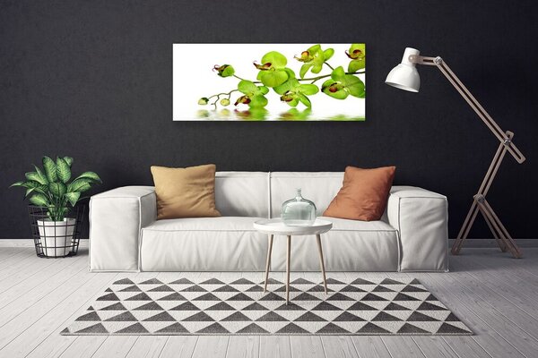 Tablou pe panza canvas Flori Floral Verde