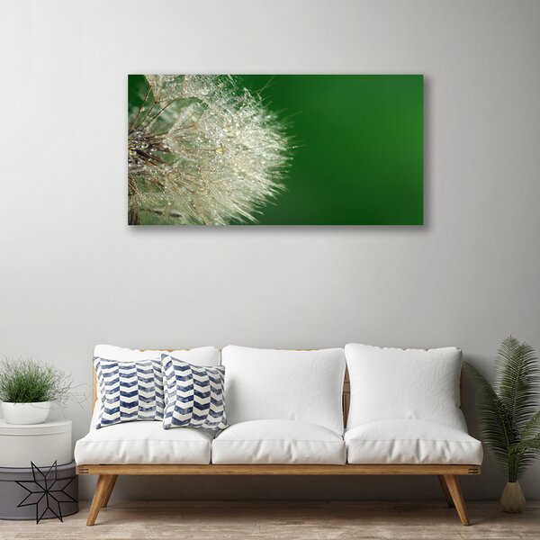 Tablou pe panza canvas Păpădie Floral Alb Verde