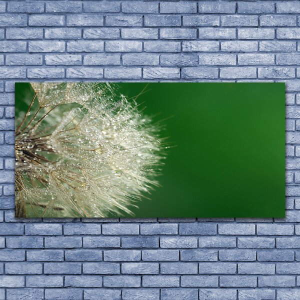 Tablou pe panza canvas Păpădie Floral Alb Verde