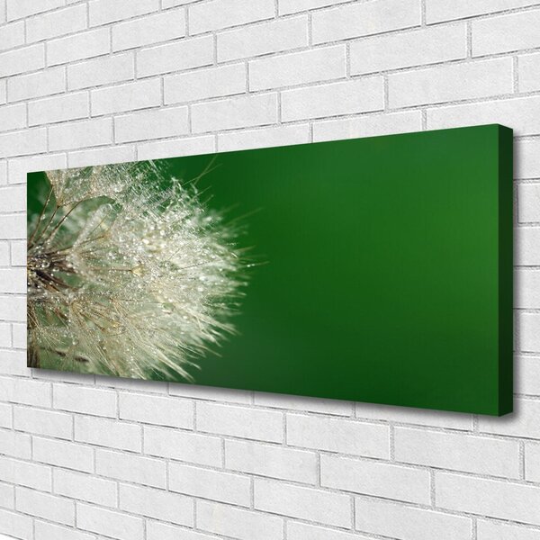 Tablou pe panza canvas Păpădie Floral Alb Verde