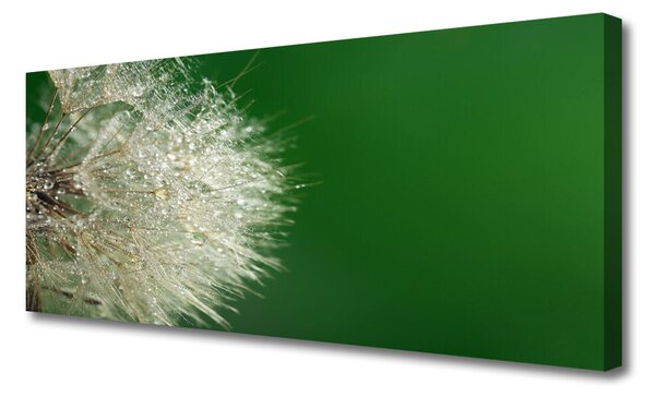 Tablou pe panza canvas Păpădie Floral Alb Verde