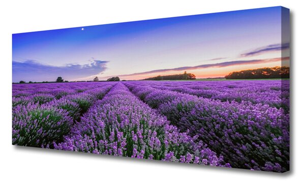 Tablou pe panza canvas Meadow Flori Natura Verde Violet