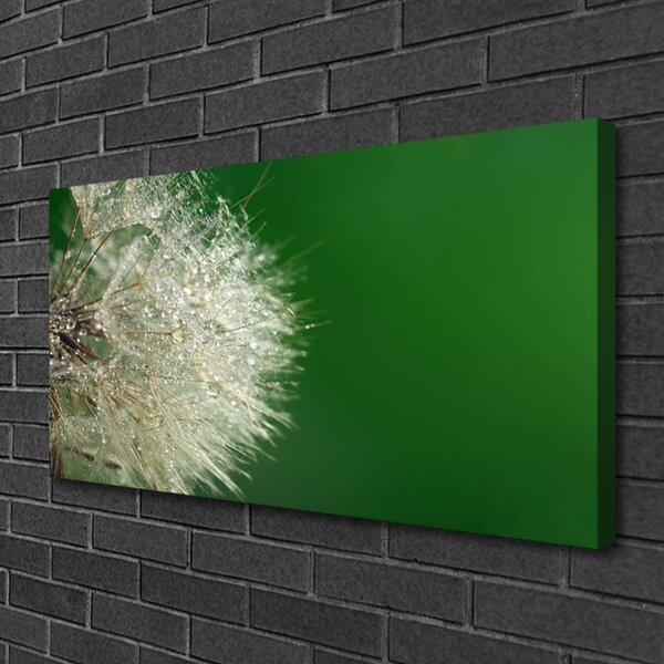 Tablou pe panza canvas Păpădie Floral Alb Verde