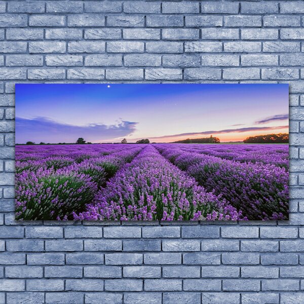 Tablou pe sticla Meadow Flori Natura Verde Violet
