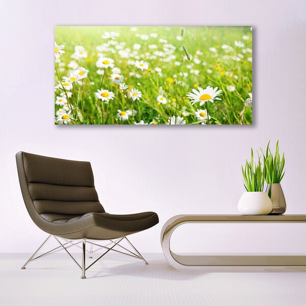 Tablou pe panza canvas Meadow Natura Alb Galben Margarete Verde