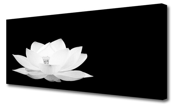 Tablou pe panza canvas Florale flori albe