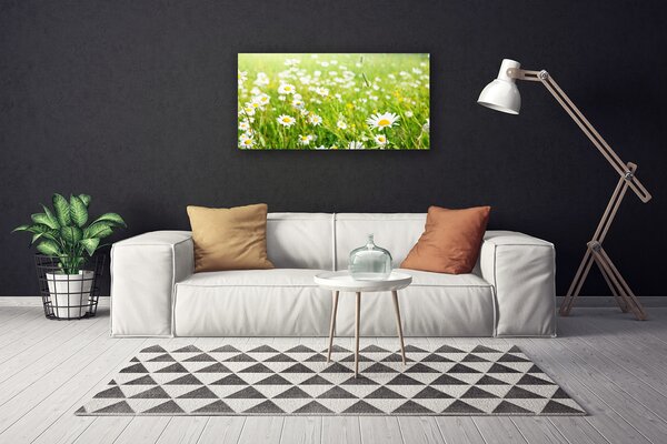 Tablou pe panza canvas Meadow Natura Alb Galben Margarete Verde