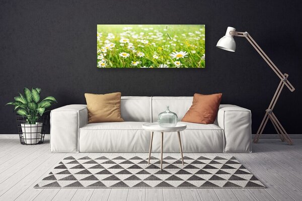 Tablou pe panza canvas Meadow Natura Alb Galben Margarete Verde