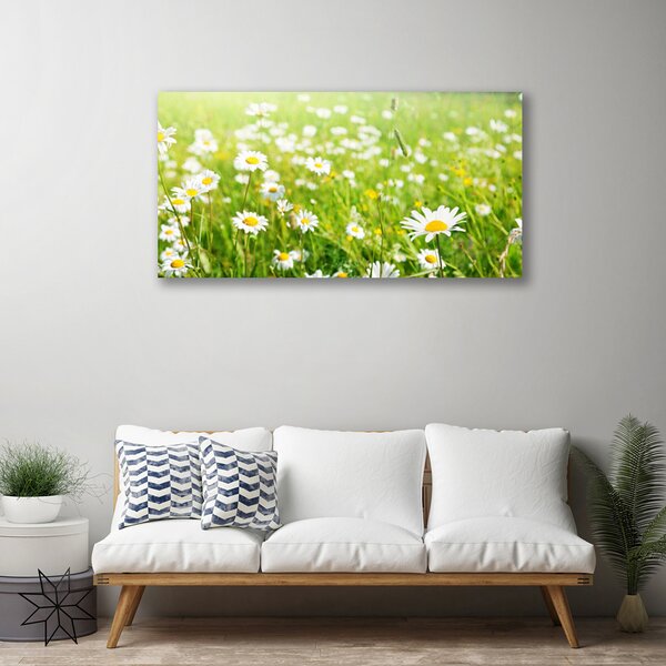 Tablou pe panza canvas Meadow Natura Alb Galben Margarete Verde